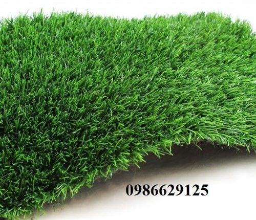 Thảm cỏ 3cm (Khổ 2m x 25m = 50m2/cuộn) - Cuộn