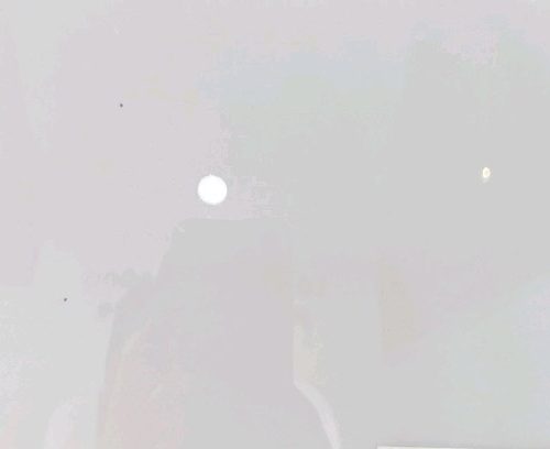 Poly đặc 3ly sữa 1,22 dài 30m - m2