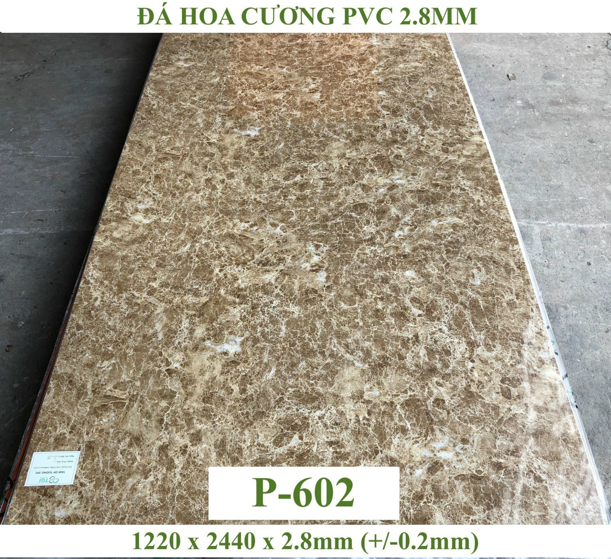 z7002713911721_4448a3cb166bf6d7eebf9cff346def0f